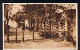 RB 960 - Early Postcard - Roman Wall - Dorchester Dorset - Autres & Non Classés