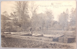 Casteau. Etablissement Des Dominicaines Du Sacré-Coeur. Le Potager. - Soignies