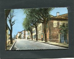 LA GARDE FREINET  ESPLANADE AVENUE DE LA TOUR    CIRC  1960   / EDIT - La Garde Freinet