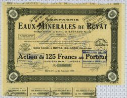 Eaux Minérales De Royat Dpt 63 - Acqua