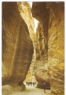 Jordan Petra ... XF213 Used - Jordan