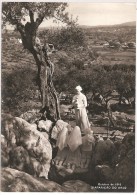 Fátima - Loca Do Cabeço - 3ª Aparição Do Anjo Em Outubro De 1916 - Santarem