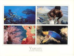 (575) Vanuatu - 4 Views Fish - Vanuatu