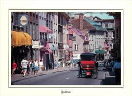 CPSM Ville De Québec-Calèche Sur La Rue St Louis    L1481 - Québec - La Citadelle