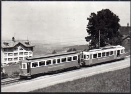 Eisenbahn Trams  Leutwiler  Vögelinsegg - Wiler Bei Utzenstorf