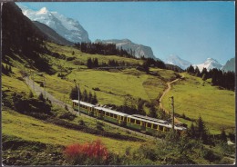 Eisenbahn  Wengen Bahn - Wengen