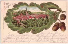 BURG STARGARD Eichenblatt Litho Color Gesamt Ansicht Bahnpost Berlin Sassnitz - Neubrandenburg