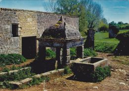 Cp , RÉGIONS , POITOU-CHARENTES , La Saintonge , Un Vieux Puits Renaissance Et Son Timbre - Poitou-Charentes