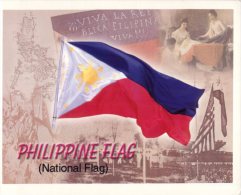 (558) Flag - Drapeau - Philippines Flag - Filipinas