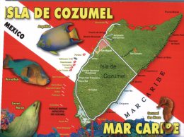 (558) Map Cozumal Island - Maps