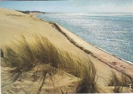 Cp , RÉGIONS , AQUITAINE , La Lumière Des Vacances , Le Sable Et La Mer - Aquitaine