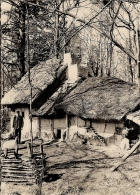 BOKRIJK-OPENLUCHTMUSEUM- PROVINCIAAL DOMEIN-KELDERHUT ( Koersel) - Genk