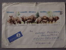 Enveloppe Pologne, Bison D'europe - Maschinenstempel (EMA)