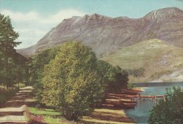 The Sunlight Road By Loch Maree   # 02936 - Inverness-shire