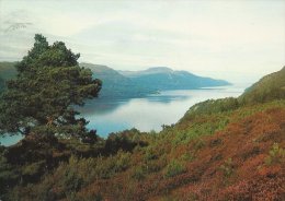 Loch Ness From The South Road Near Fort Augustus     # 02937 - Inverness-shire