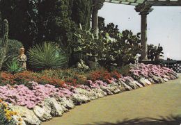 Cp , MONACO , Le Jardin-Exotique , Parterre Avec Floraisons De Lampranthus D´Afrique Du Sud - Exotischer Garten