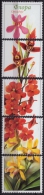 Orchid / Orchids / FLOWER - LABEL / CINDERELLA - Serbia 2013 - MNH - Orchideen