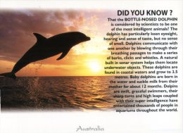 (930) Australia - Did You Know - Dolphin - Dolphins