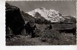 Wengen Jungfrau - Wengen