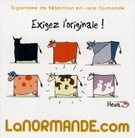 Magnet LA NORMANDE.   HEULA.   Vaches.   Humour. - Humoristiques