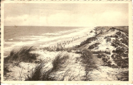 BREDENE -DUNES - Bredene