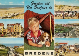 BREDENE -MULTIVUES-BONJOUR-GROETEN UIT - Bredene