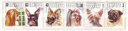 Bulgaria / Bulgarie  1991 Animals Dogs   6v- Used - Used Stamps