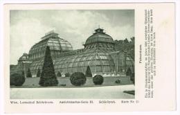 I1372 Wien - Lustschloss Schonbrunn - Schlosspark - Palmenhaus / Non Viaggiata - Château De Schönbrunn