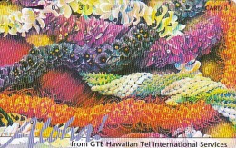 Hawaii, HAW-77, 3 Units, Les Aloha, Flowers, Mint, 2 Scans. - Hawaii