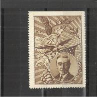 UNITED STATES 1919 - PATRIOTIC VIGNETTE CINDERELLAS NEW 5,5 X 4 CMS GOOD CONDITIONS - BACK PARTIALLI WITH GLUE (DARKER P - Patriottiche
