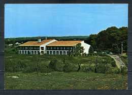 GALLARGUES LE MONTUEUX . Clinique Des Oliviers  ,   Voir Recto - Verso    (R440) - Gallargues-le-Montueux