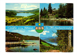 Allemagne: Grusse Vom Titisee Im Hochschwarzwald (14-14) - Hochschwarzwald