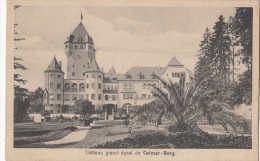 1920 CIRCA LUXEMBOURG CHATEAU GRAND DUCAL DE COLMAR BERG - Colmar – Berg