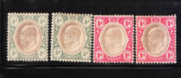 Transvaal 1902-09 King Edward VII 4v Mint - Transvaal (1870-1909)