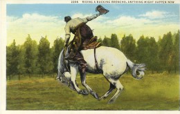 Carte Cow Boy Rodeo - Indiens D'Amérique Du Nord