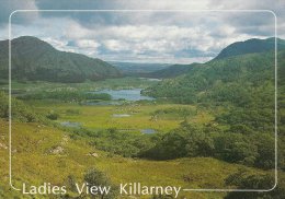 Ladies View   Killarney   Co. Kerry    Ireland    # 02988 - Clare