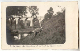 E3169 - Berneau - La Berwinne Et Le Pont Du Chemin De Fer " Carte Photo" - Dalhem