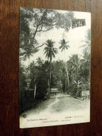 Carte Postale Ancienne : LAOS : LUANG-PRABANG : Une Avenue - Laos