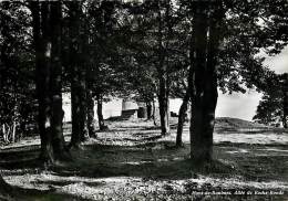 SUISSE Mont De Baulmes Allée De Roche Ronde 1959  N°2070 - Baulmes