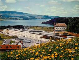 SUISSE Usine Entreprise Chocolaterie Nestlé Peter Cailler Kholer Fabrique De Broc N°2075 - Broc