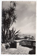 CP, PRINCIPAUTE DE MONACO, Le Rocher Vu De La Terrasse Du Jardin Exotique, Voyagé En 1950 - Jardin Exotique