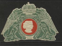 AUSTRIA HUNGARY 1916 WW1 FUND RAISING POSTER STAMP GREEN SUPERB HM CINDERELLA ERINOPHILATELIE - Francobolli Personalizzati