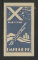 NETHERLANDS 1929 BANDOENG 10TH FAIR & MINERALS EXHIBITION BLUE NO GUM POSTER STAMP CINDERELLA ERINOPHILATELIE - Neufs