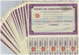 Lot De 36 Actions De La Société Des Domaines Algériens - Africa