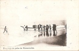 Moçamedes - Descarga De Peixe - Moçambique - Ethnique - Ethnic - Indigène - Native - Non Classificati