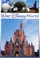 (988) Disney - World - Disneyworld