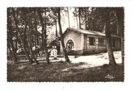 CPA :58 - Nièvre -  Les Settons - Restaurant De La Plage : Bâtiment , Terrasse , Arbres ... - Andere & Zonder Classificatie