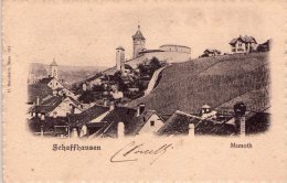 SCHAFFHAUSEN - Other & Unclassified