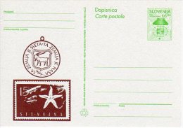 SLOVENIA 1993 6.00 T.  Commemorative Postal Stationery Card, Unused.  As Michel P5 - Slovenia