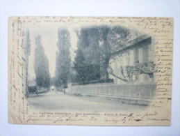 CASTERA-VERDUZAN  (Gers)  :  VILLA  LANNELONGUE  -  Avenue De  BONAS   1901 - Castera